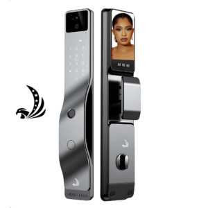 The Silver Eagle Smart Door Lock (Indoor & Outdoor)